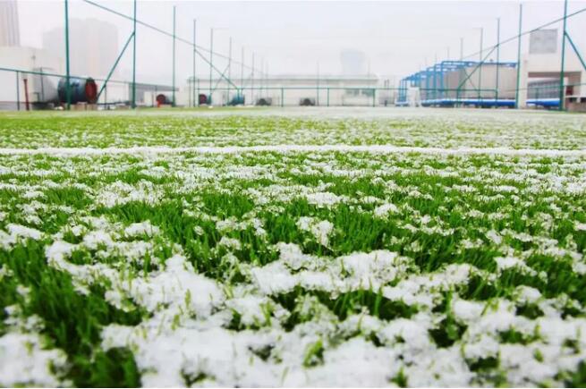 冬天人造草坪去除冰雪維護(hù)保養(yǎng)技巧