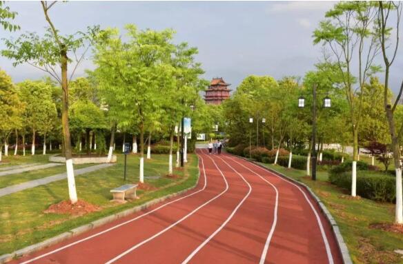 宜春健康步道改造完工，高顏值的新去處！